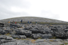 Exposures along margins of country road R477 of Dinantian Burren Limestone Formation. These Carboniferous limestons are composed of shallow water carbonates. Note the clints (limestone blocks) and grikes (joints and fractures) extensively enlarged by Pleistocene dissolution. Topography almost devoid of vegetation, though when it occurs it fills prominent grikes.